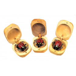Coccinelle en bois