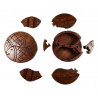 Boite en bois secrete poissons