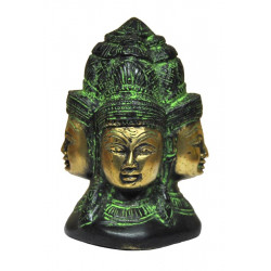 Tete de brahma 13 cms, 1,5 kg