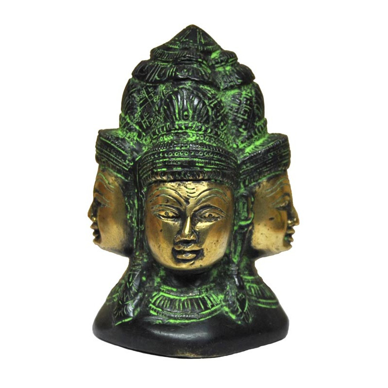 Tete de brahma 13 cms, 1,5 kg