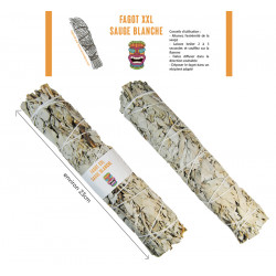 SAUGE BLANCHE FAGOT 23CM