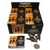 BHARAT DARSHAN EN CONE (12X 10 CONES)