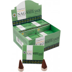 GOLDEN NAG SAUGE BLANCHE CONES (12 x 10 CONES)