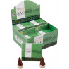 GOLDEN NAG SALVIA BLANCA CONES (12 x 10 CONES)