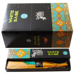 HD TRIBAL SOUL WEISSER SALBEI (12 X 15 GRS)