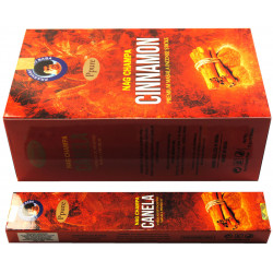 PPURE CANNELLE (12 X 15 G)