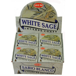 HEM CONES SAUGE BLANCHE  (12 x 10 CÔNES)