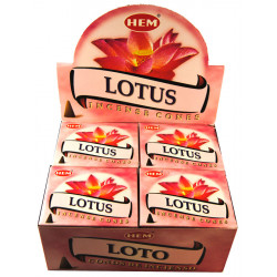 HEM CONES LOTUS (12 x 10 CÔNES)