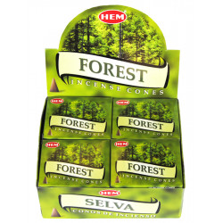 HEM CONES FOREST (12 x 10 CÔNES)