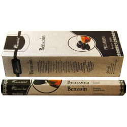 AROMATIKA BENJUÍ (6 X 20 PALITOS)