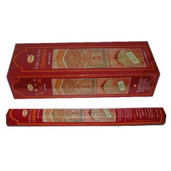 HEM PRECIOUS CHANDAN (6 X 20 palitos)