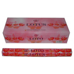 HEM LOTUS (6 X 20 batonnets)