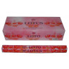 HEM LOTUS (6 X 20 bastoni)