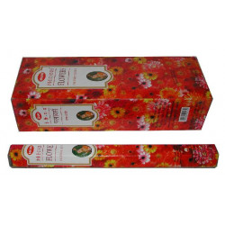 HEM PRECIOUS FLEURI (6 X 20 batonnets)
