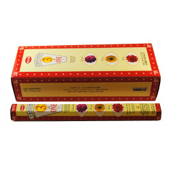 HEM PRECIOUS 3 IN 1 (6 X 20 STICKS)