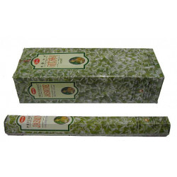 HEM PRECIOUS JASMIN (6 X 20 palitos)