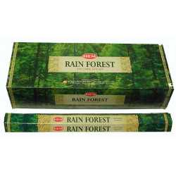 HEM RAIN FOREST (6 X 20 batonnets)
