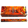 AYURVEDIC AMBRE ( 6 x 20 batonnets)