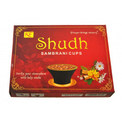 RESINE AVEC CHARBON SHUD SAMBRANI (12 pieces)