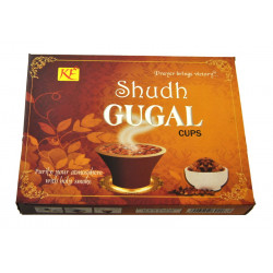 RESINE AVEC CHARBON SHUD  SHUDH GUGAL (12 pieces)