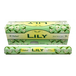 TULASI LYS (6 X 20 batonnets)
