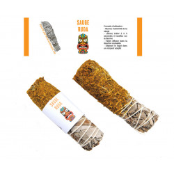 SAUGE RUDA FAGOT 25GR