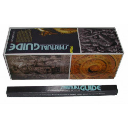 PADMINI SPIRITUAL GUIDE (25 x 8 palitos)