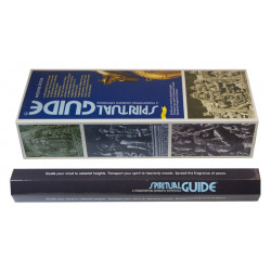 PADMINI SPIRITUAL GUIDE (6 X 20 batonnets)